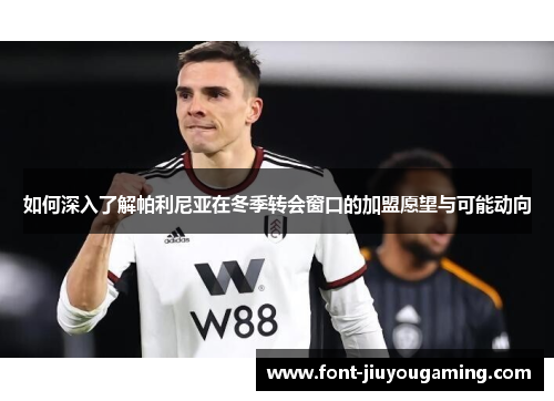 如何深入了解帕利尼亚在冬季转会窗口的加盟愿望与可能动向