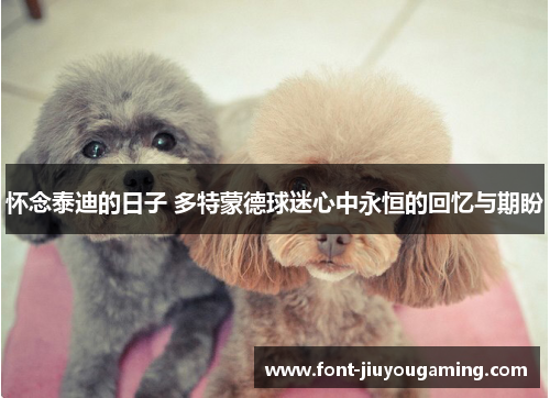 怀念泰迪的日子 多特蒙德球迷心中永恒的回忆与期盼