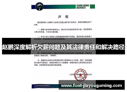 赵鹏深度解析欠薪问题及其法律责任和解决路径